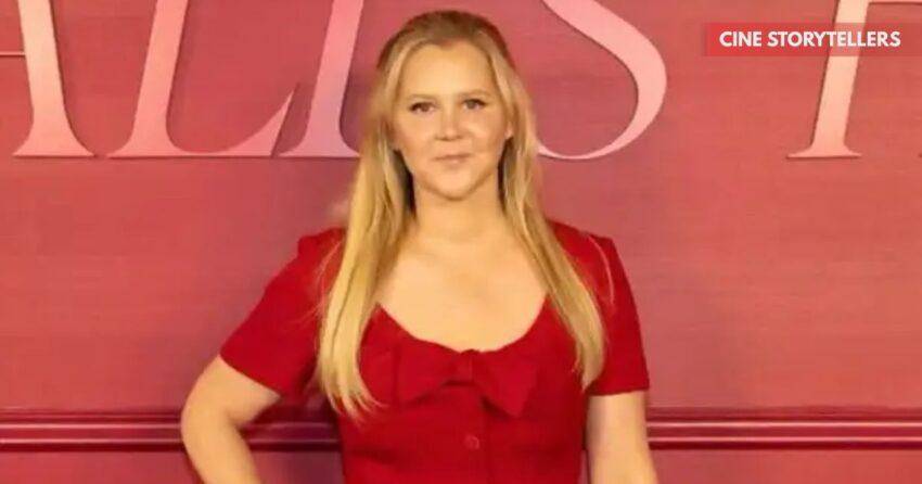 Amy Schumer Instagram Wipe: Why the Comedian Deleted Her Feed and Started Fresh