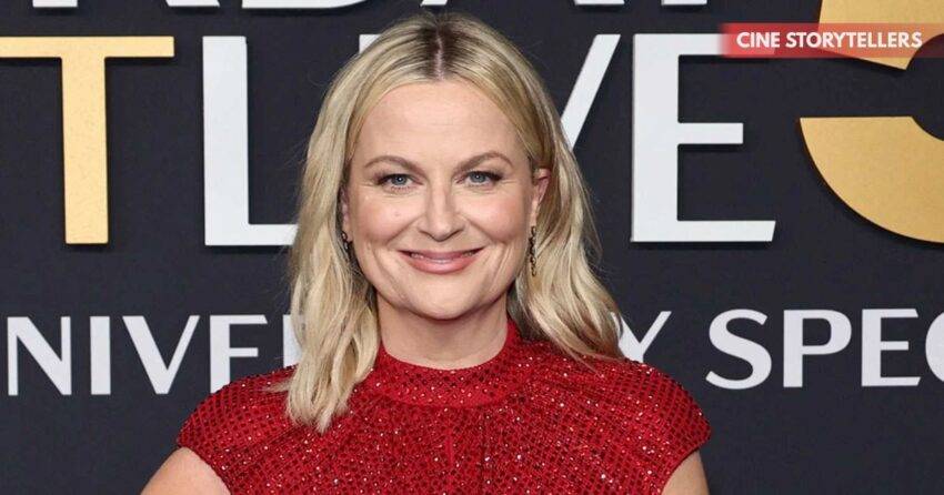 Amy Poehler Gets Into a Plane Fight Over Swearing Near a Baby - Full Story